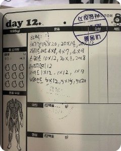 운동일지 day 12 페이지, 세트와 횟수 기록